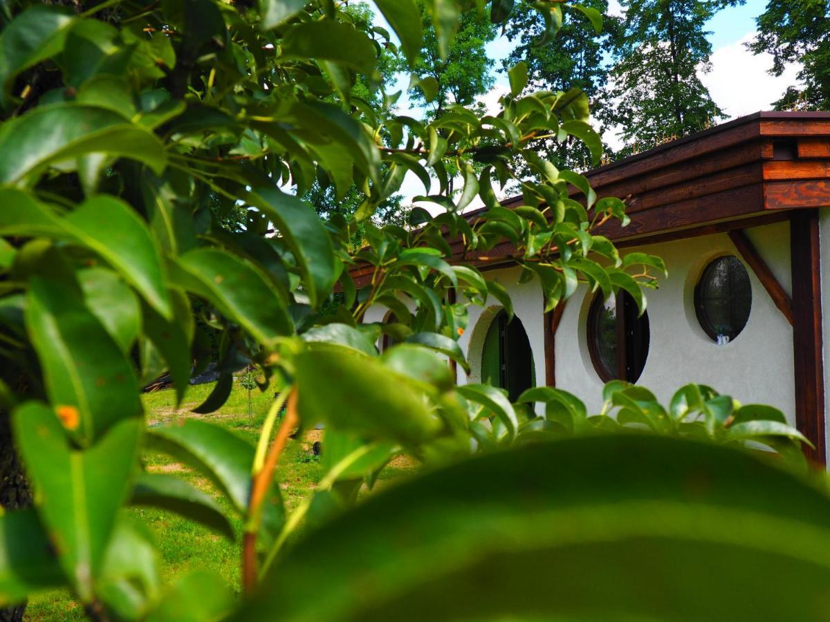 Chata Karkonoskiego Skrzata Villa Sosnowka  Ngoại thất bức ảnh